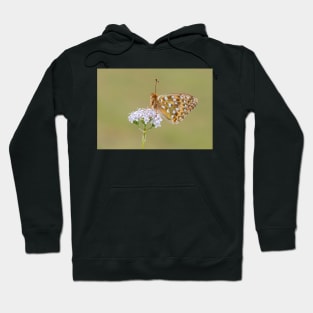 Dark Green Fritillary Butterfly on a White Valerian Flower Hoodie